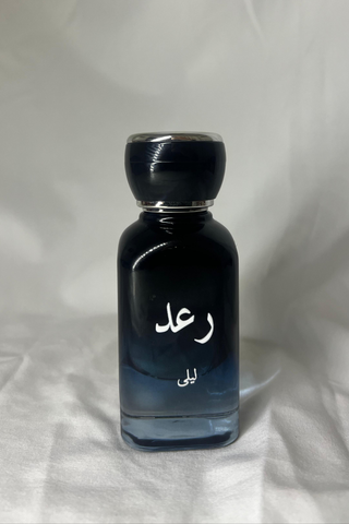 RA3D-رعد